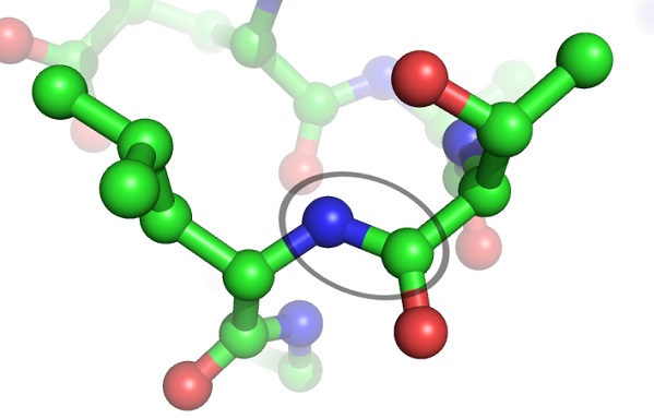 A Brief Overview of Peptides and Their Health Benefits