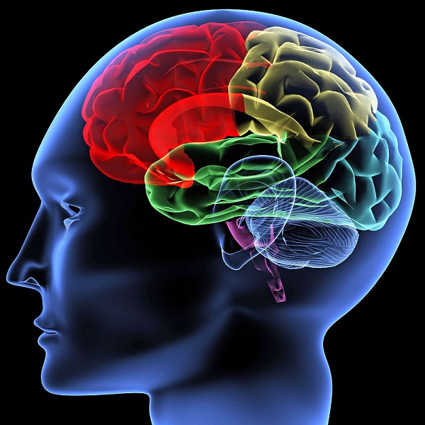 How Do Brain Mapping and Neurofeedback Sessions Help